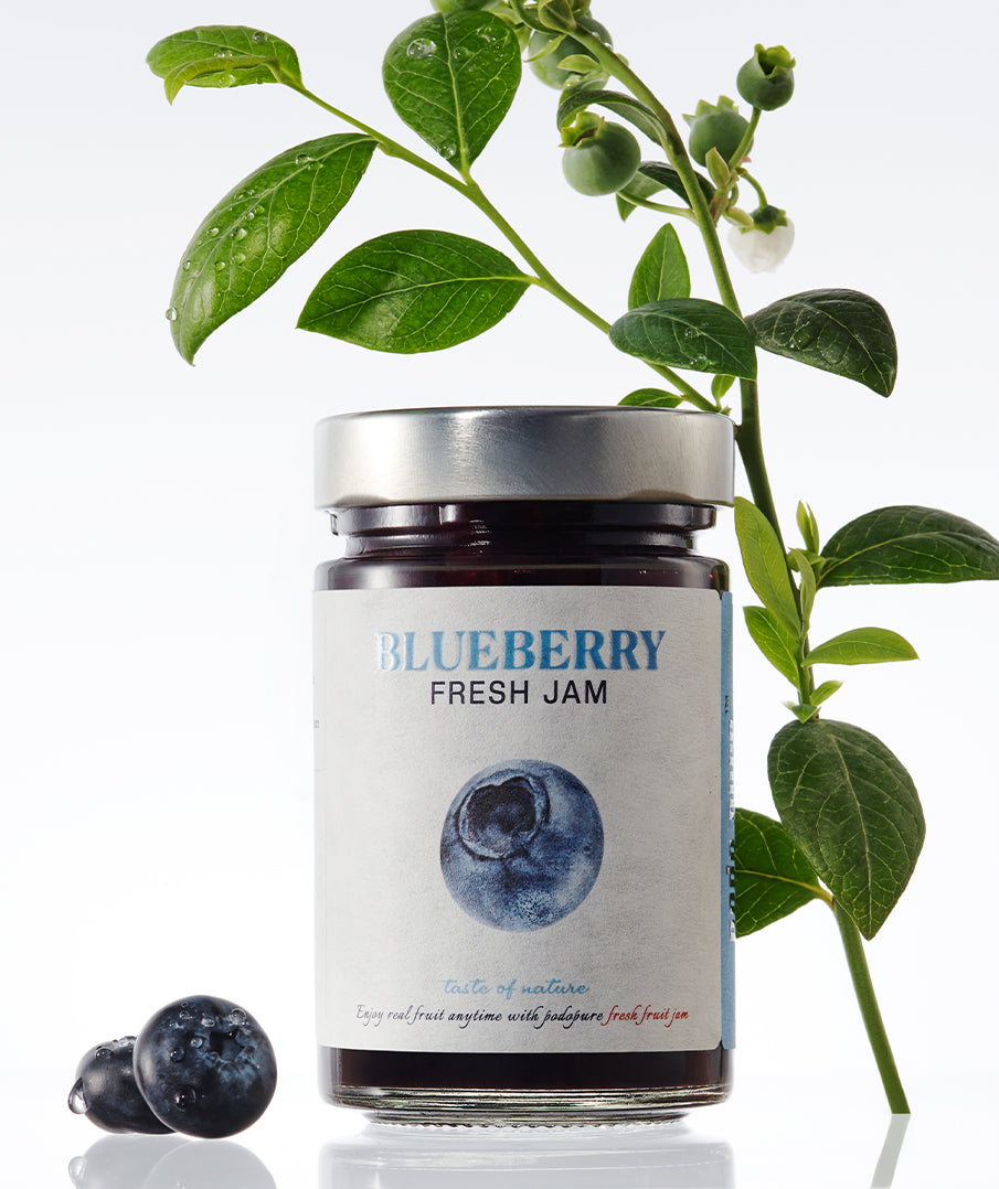 Sugar Free Fresh Blueberry Jam